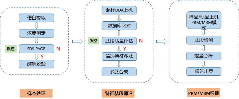 圖片.png