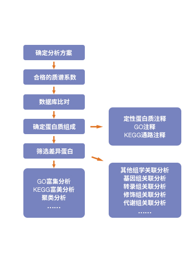 圖8.jpg