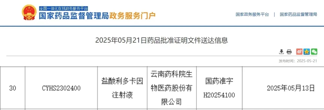 藥物2.webp.jpg